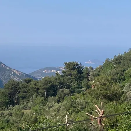 Huzurlu